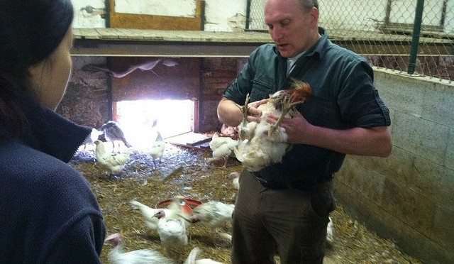 Workaway for Fun and Adventure