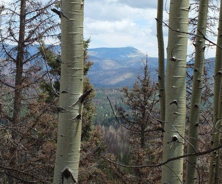 Hiking Redondito Trail