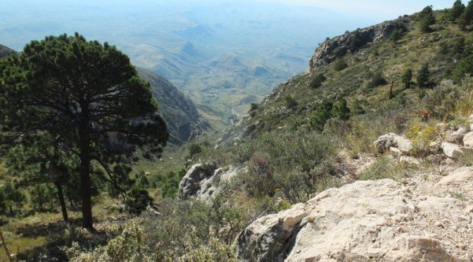 A Hike to the Top o’ Texas