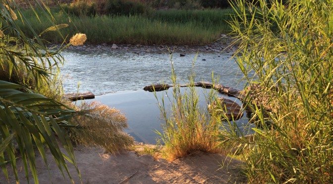 Day Hikes in the Big Bend