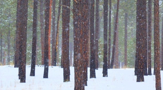 Winter Hiking in the Southern Rockies