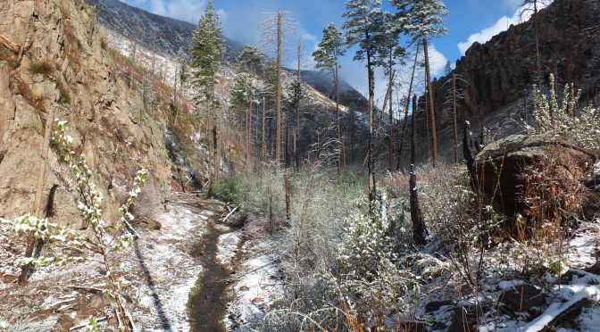 Late Spring Snowy Hike