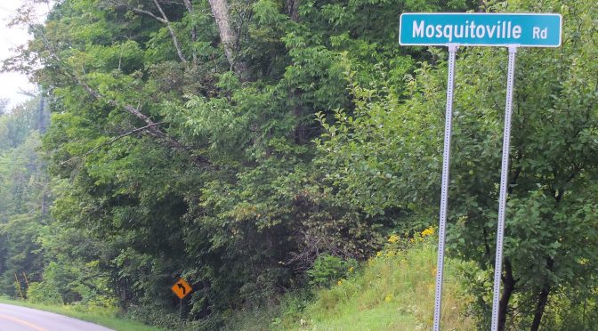 Leaving Mosquitoville