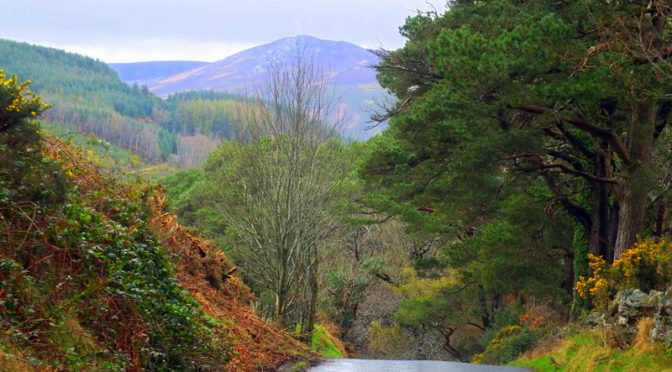 A Multi-day Trek on the Wicklow Way