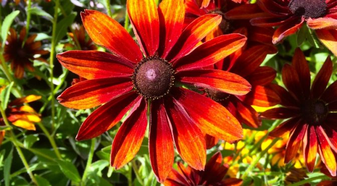 Hikes and Brews in Boise