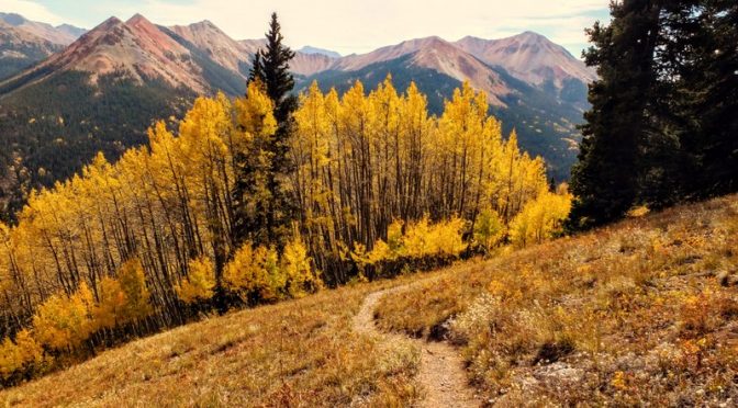 Autumn Leaves in the Southern Rockies