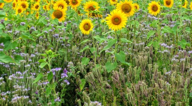 Thirteen Brewery Hike