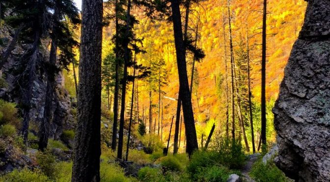 Los Alamos Canyon Loop Hike