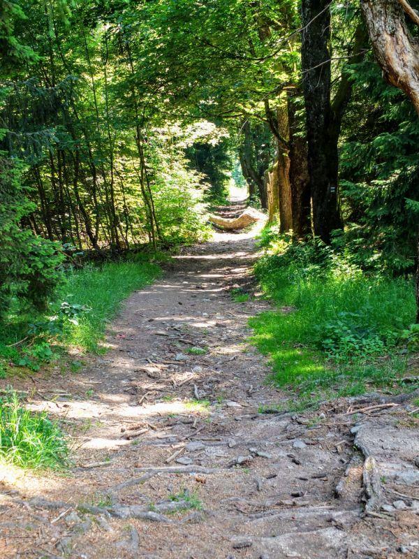 Cross-border Beer Hike