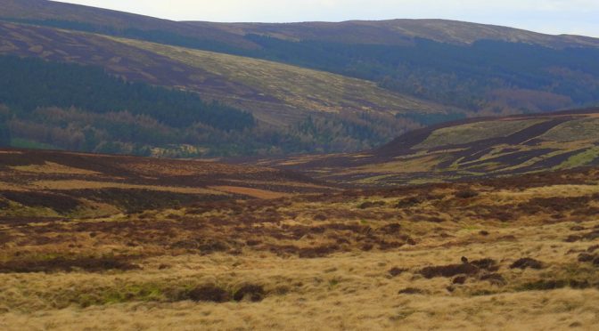 Buxton & Macclesfield